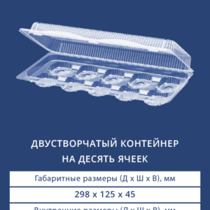 ДВУСТВОРЧАТЫЙ КОНТЕЙНЕР НА ДЕСЯТЬ ЯЧЕЕК 1110