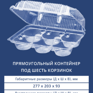 ПРЯМОУГОЛЬНЫЙ КОНТЕЙНЕР ПОД ШЕСТЬ КОРЗИНОК 1116