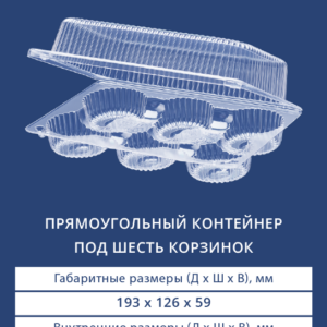 ПРЯМОУГОЛЬНЫЙ КОНТЕЙНЕР ПОД 6 КОРЗИНОК 1616