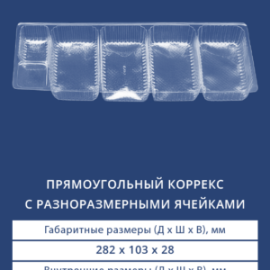 ПРЯМОУГОЛЬНЫЙ КОРРЕКС С РАЗНОРАЗМЕРНЫМИ ЯЧЕЙКАМИ 4202